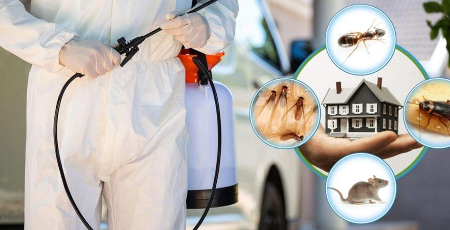 Çamlıyayla Böcek İlaçlama