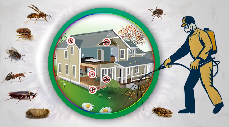 Çamlıyayla Böcek İlaçlama