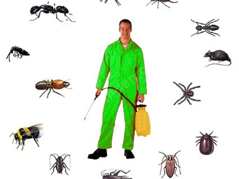 Çamlıyayla Böcek İlaçlama